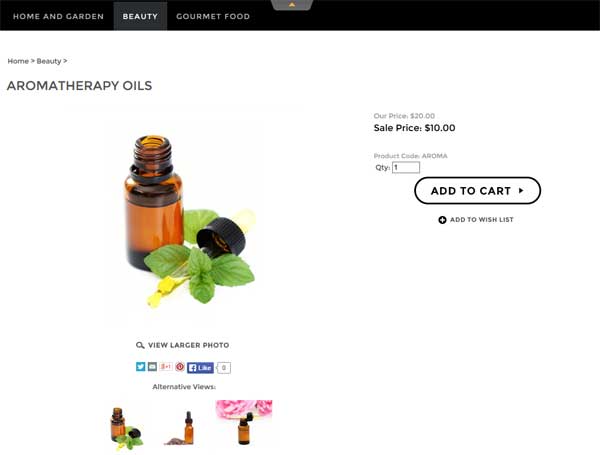 Volusion Product View.